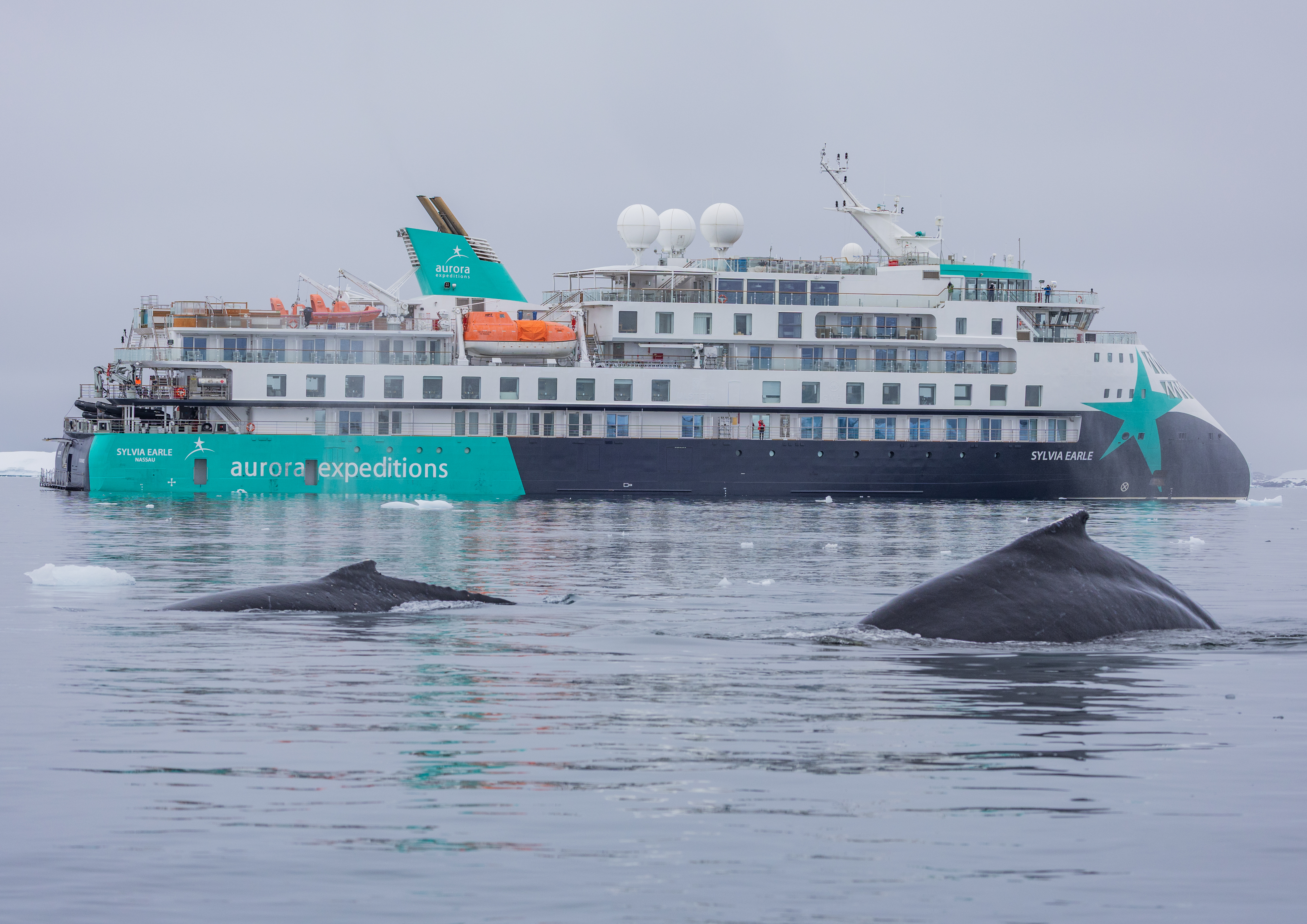 Sylvia Earle - AE Expeditions