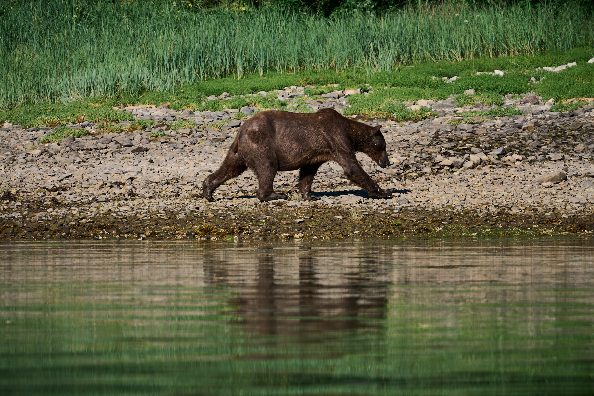 Alaska expedition