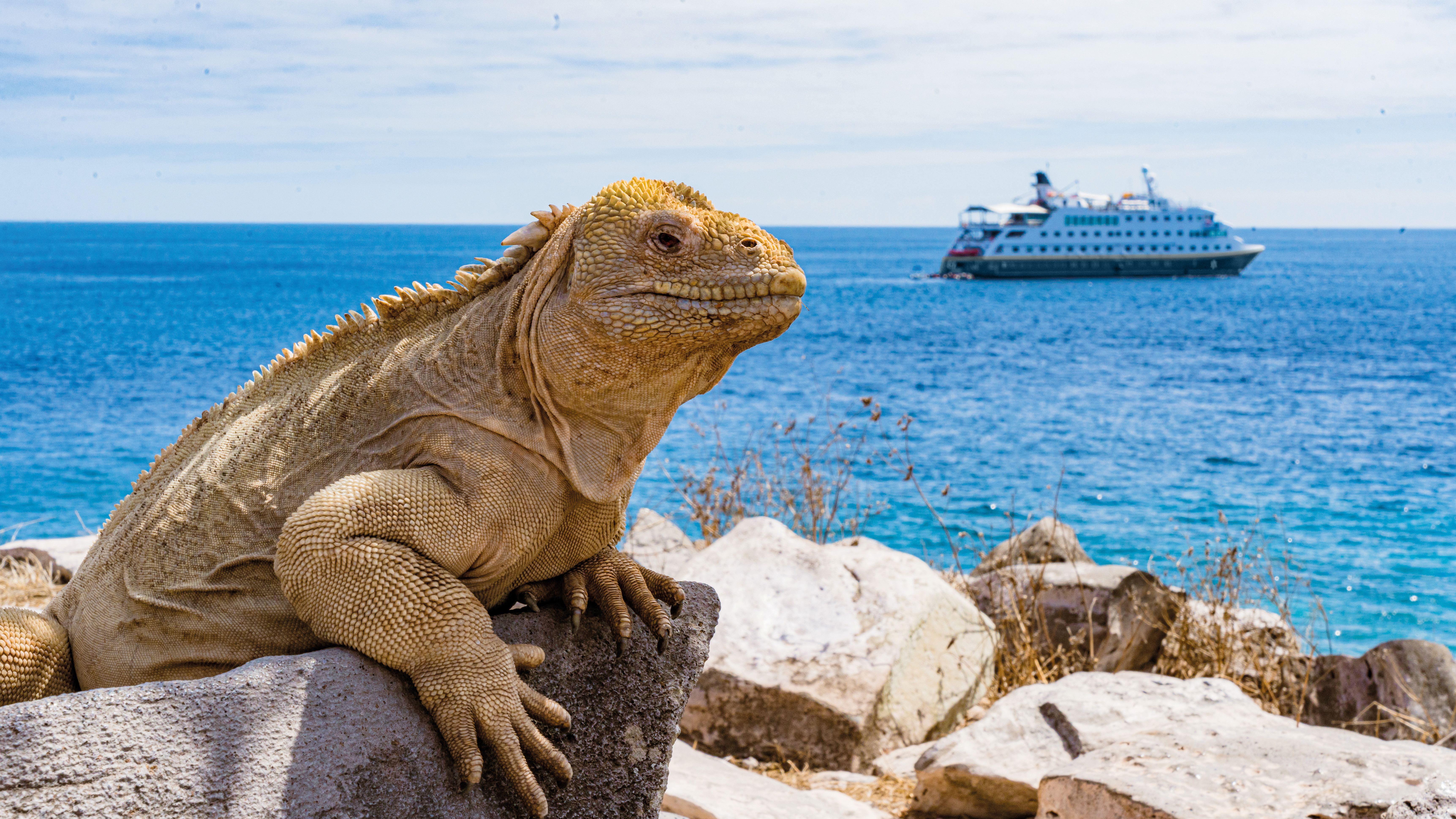 Galapagos expedition